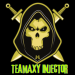 TeamAXY Injector