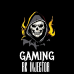 RK Gaming VIP Injector